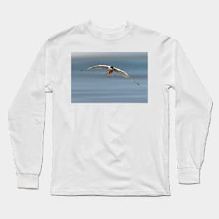 Common Tern in Flight Long Sleeve T-Shirt